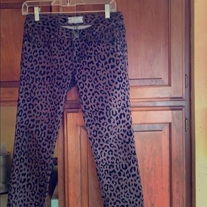 Free People leopard pants